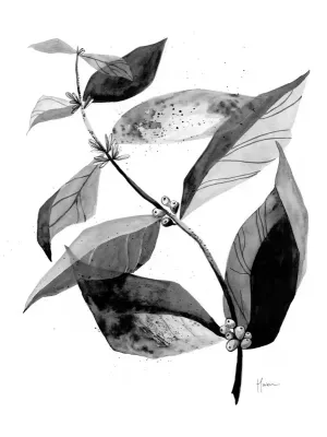 KIT 4 QUADROS DECORATIVOS - DA NOSSA FLORA